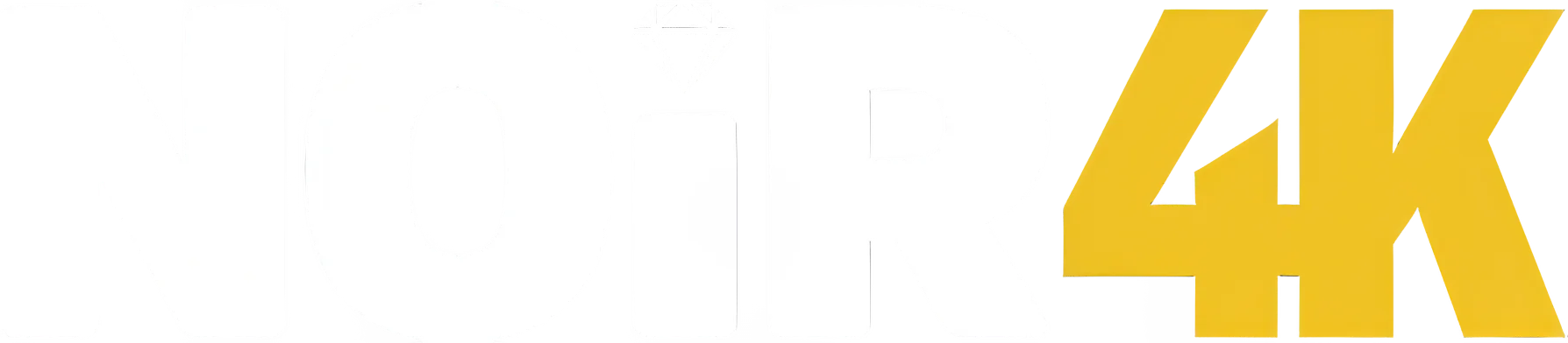 NOIR 4K logo